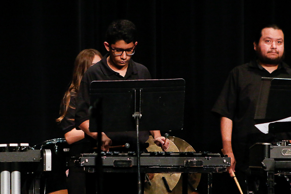 A xylophonist plays